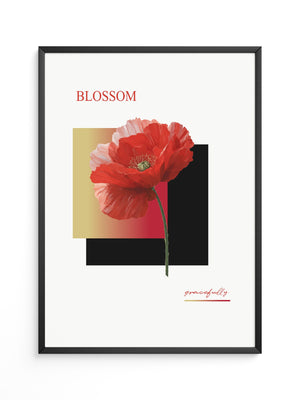 Roter Mohn Blüte Grafik