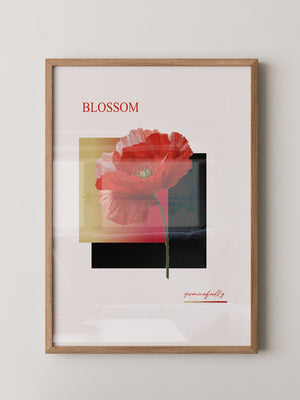 Roter Mohn Blüte Grafik