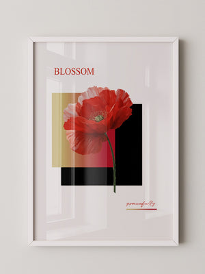 Roter Mohn Blüte Grafik