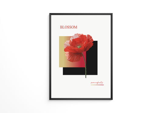Roter Mohn Blüte Grafik