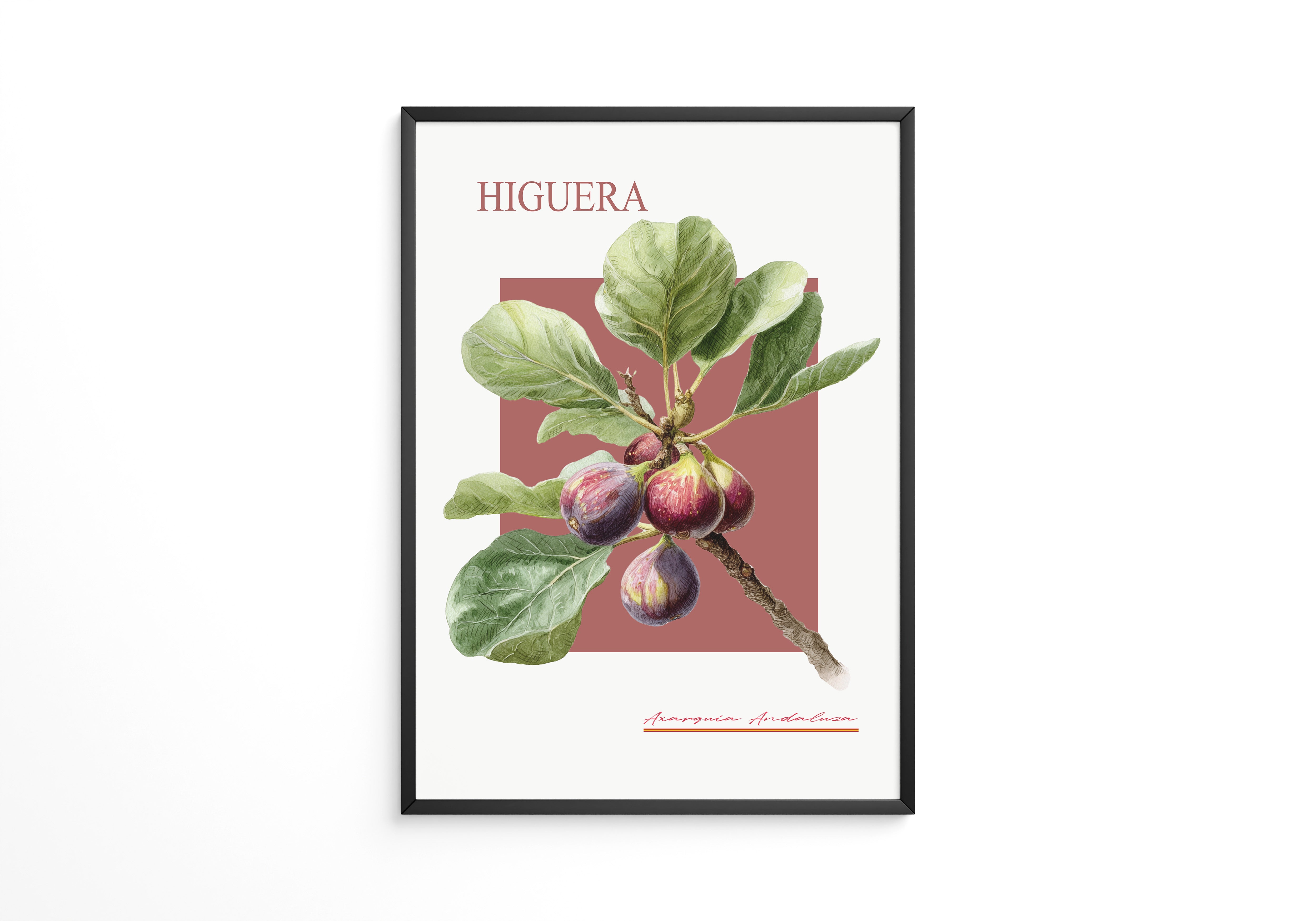 Feigenzweig Botanisch Rötlich