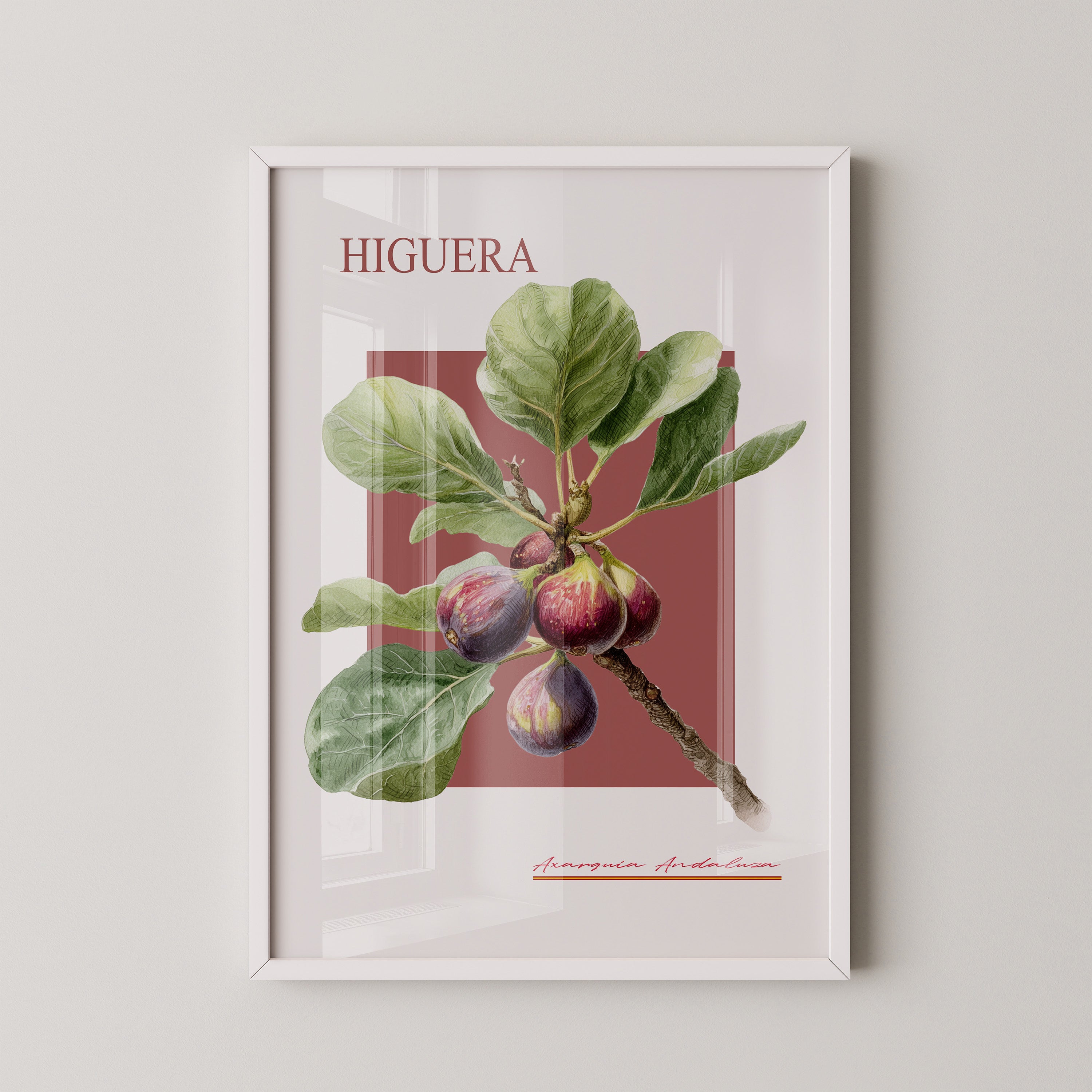 Feigenzweig Botanisch Rötlich