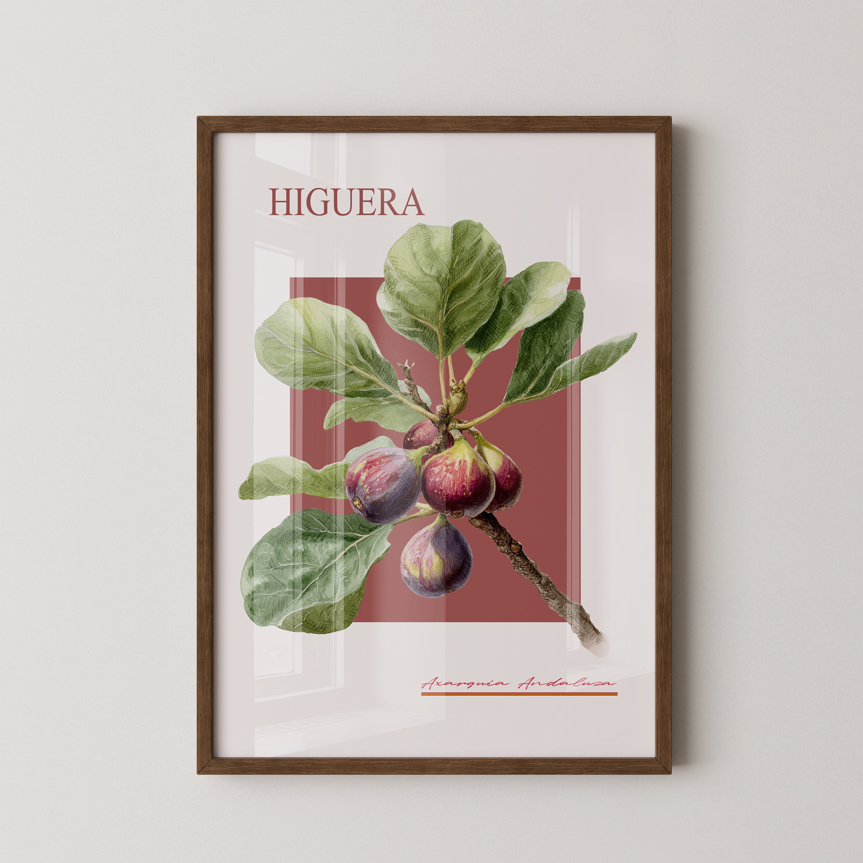 Feigenzweig Botanisch Rötlich