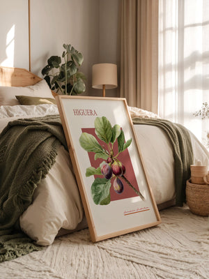 Feigenzweig Botanisch Rötlich