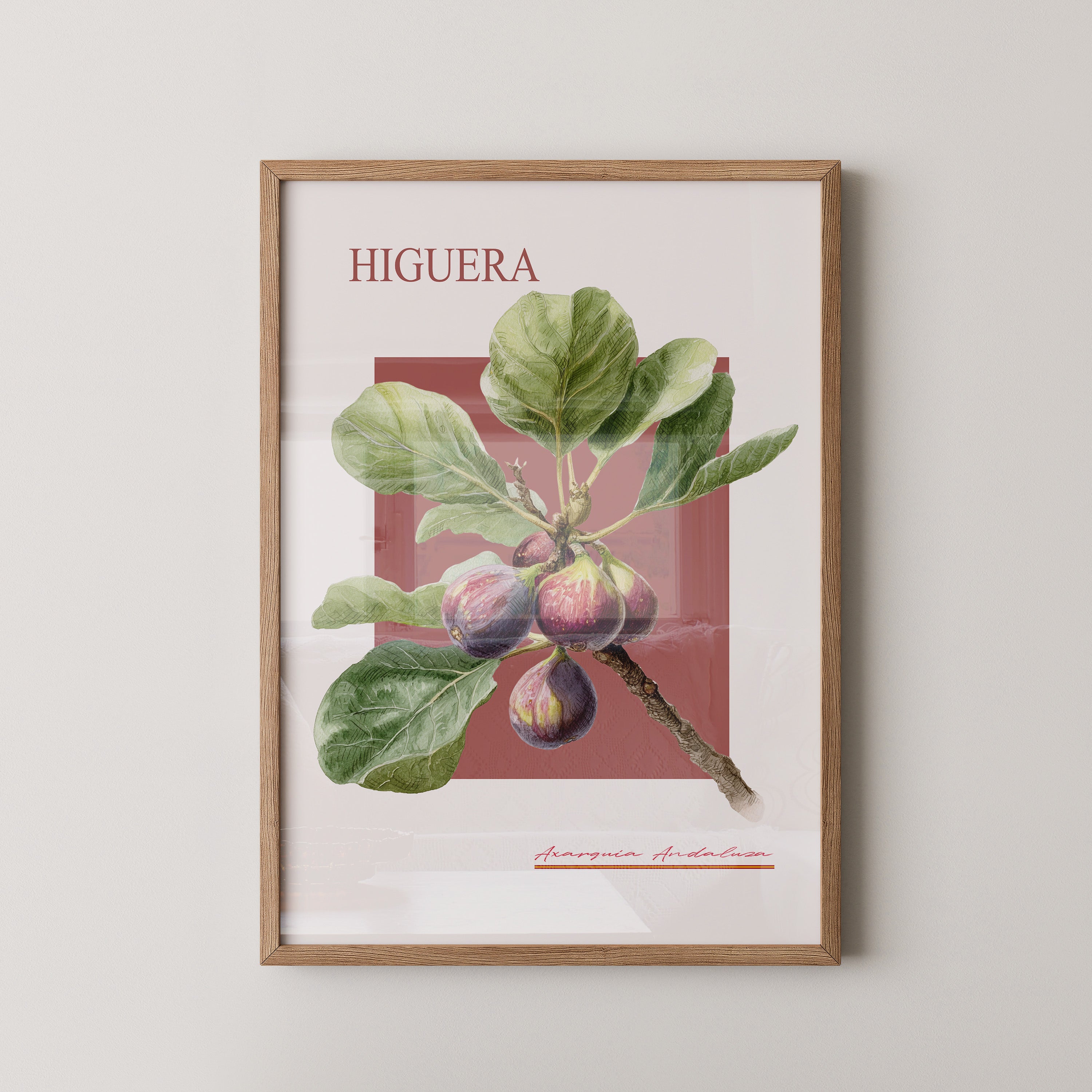 Feigenzweig Botanisch Rötlich