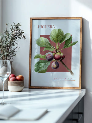 Feigenzweig Botanisch Rötlich