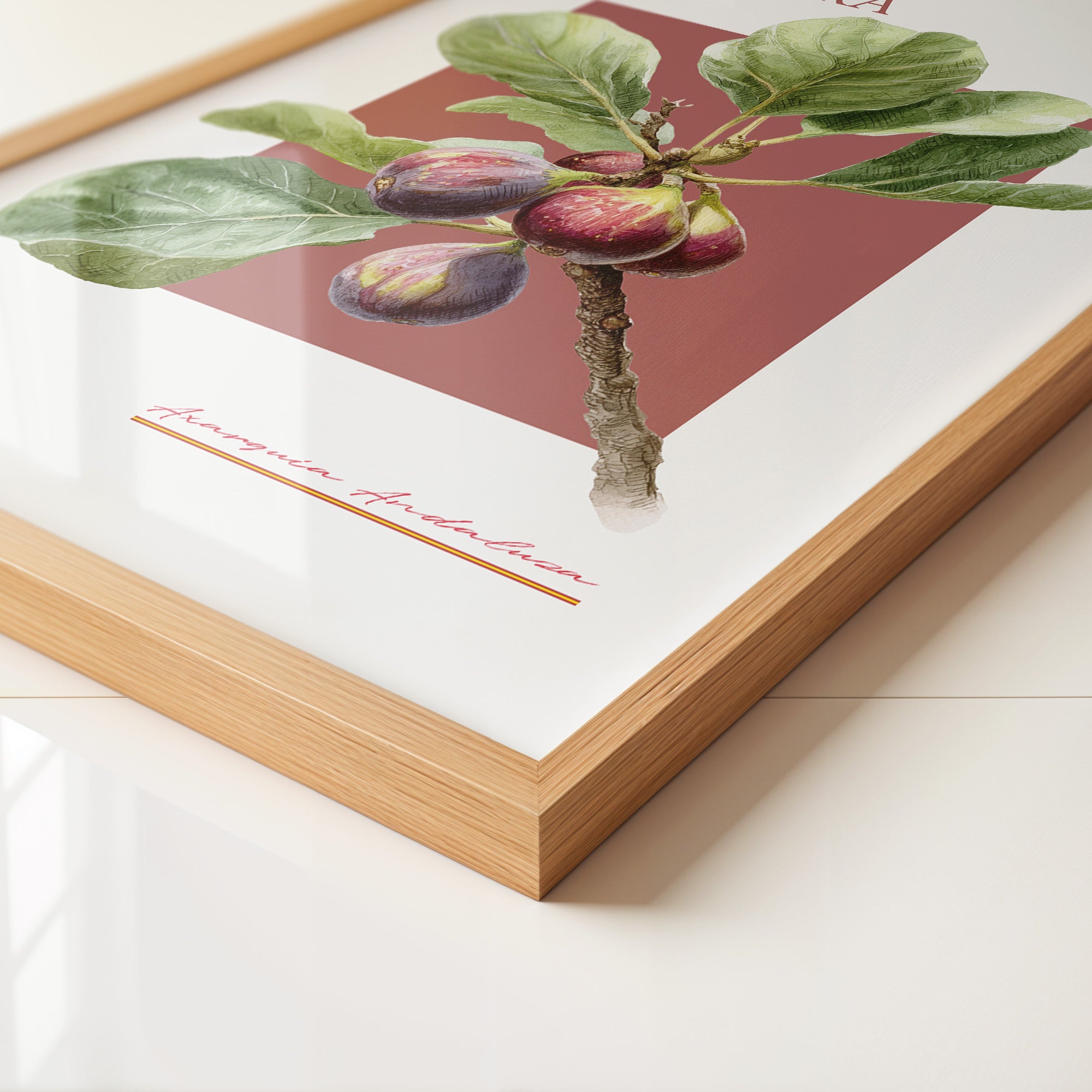 Feigenzweig Botanisch Rötlich