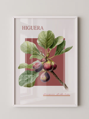 Feigenzweig Botanisch Rötlich