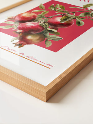 Granatapfel Zweig Rot Hintergrund