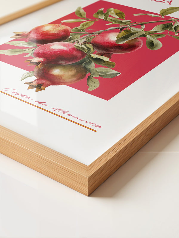 Granatapfel Zweig Rot Hintergrund
