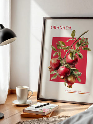 Granatapfel Zweig Rot Hintergrund