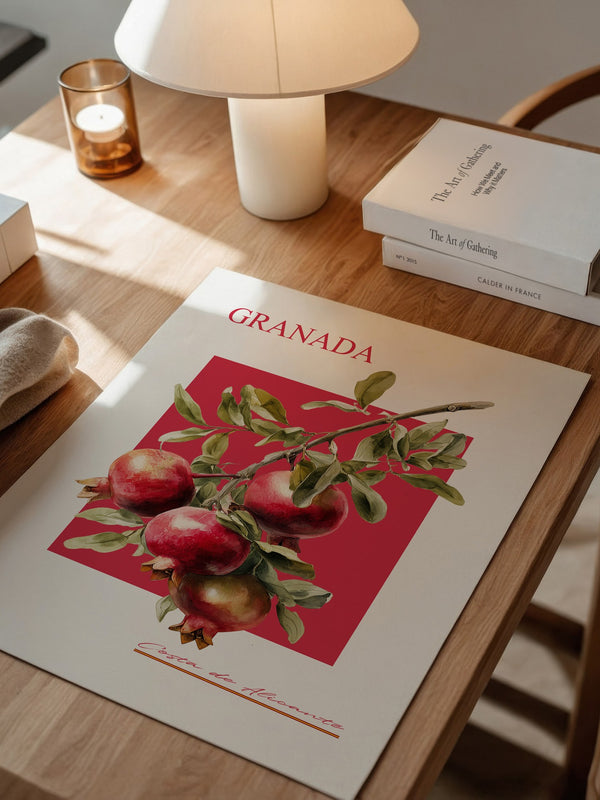 Granatapfel Zweig Rot Hintergrund