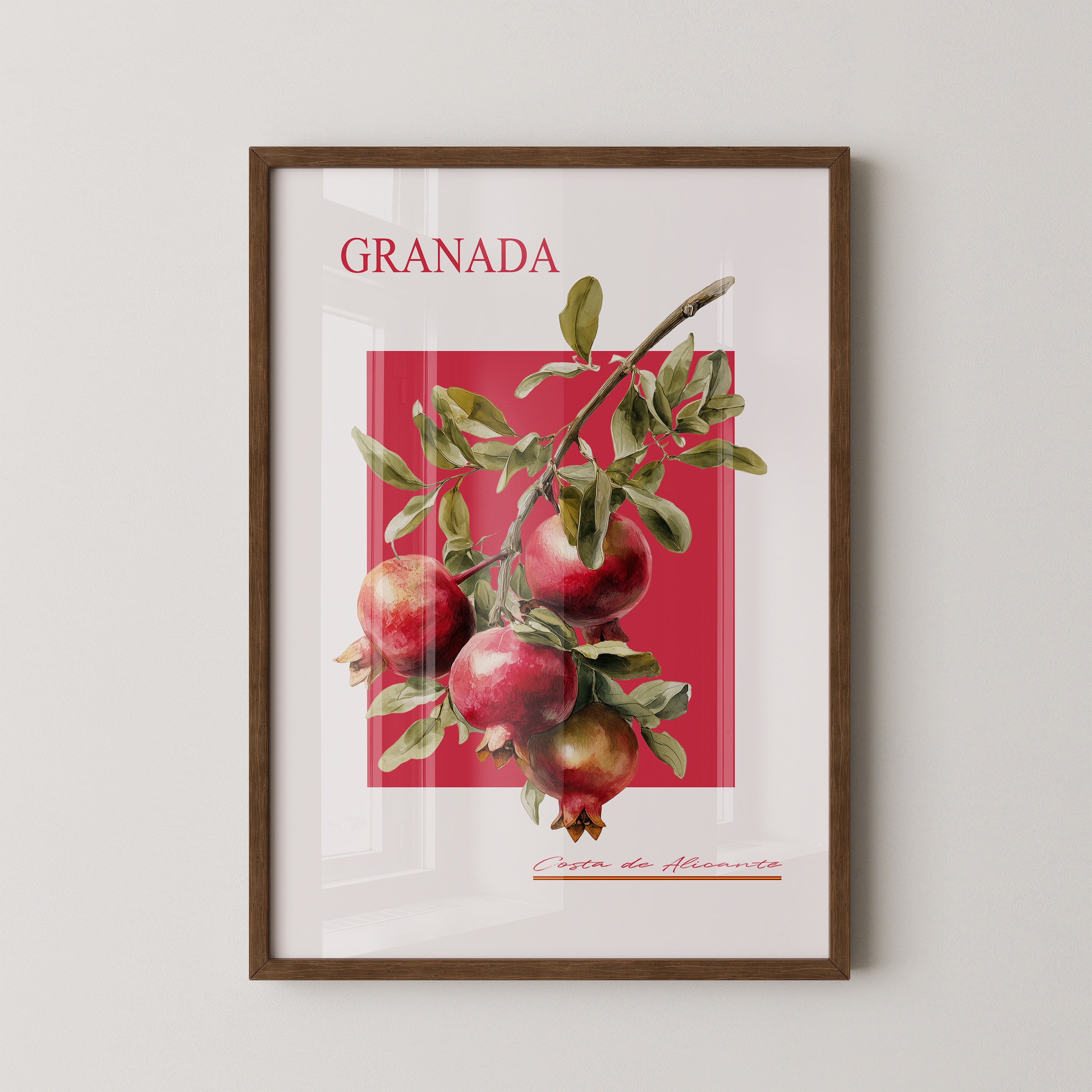 Granatapfel Zweig Rot Hintergrund