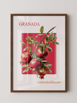 Granatapfel Zweig Rot Hintergrund