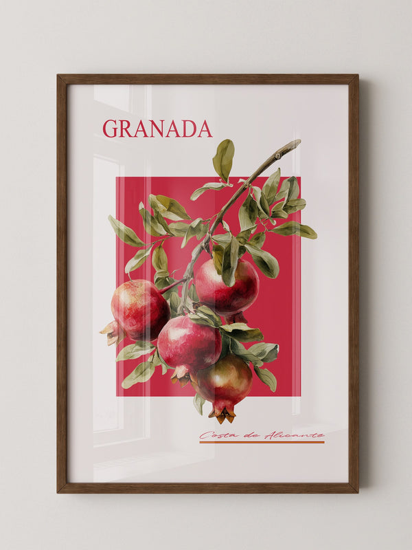 Granatapfel Zweig Rot Hintergrund