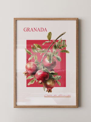 Granatapfel Zweig Rot Hintergrund