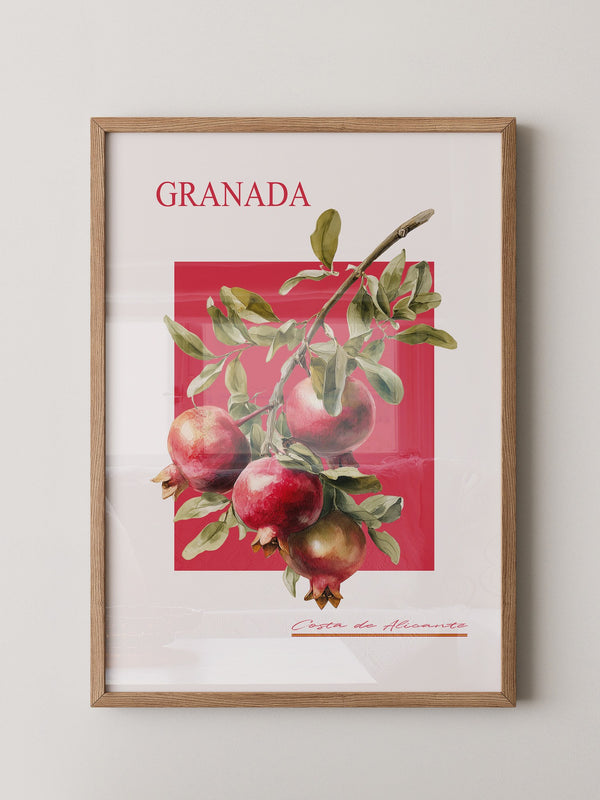 Granatapfel Zweig Rot Hintergrund