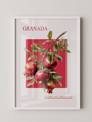 Granatapfel Zweig Rot Hintergrund