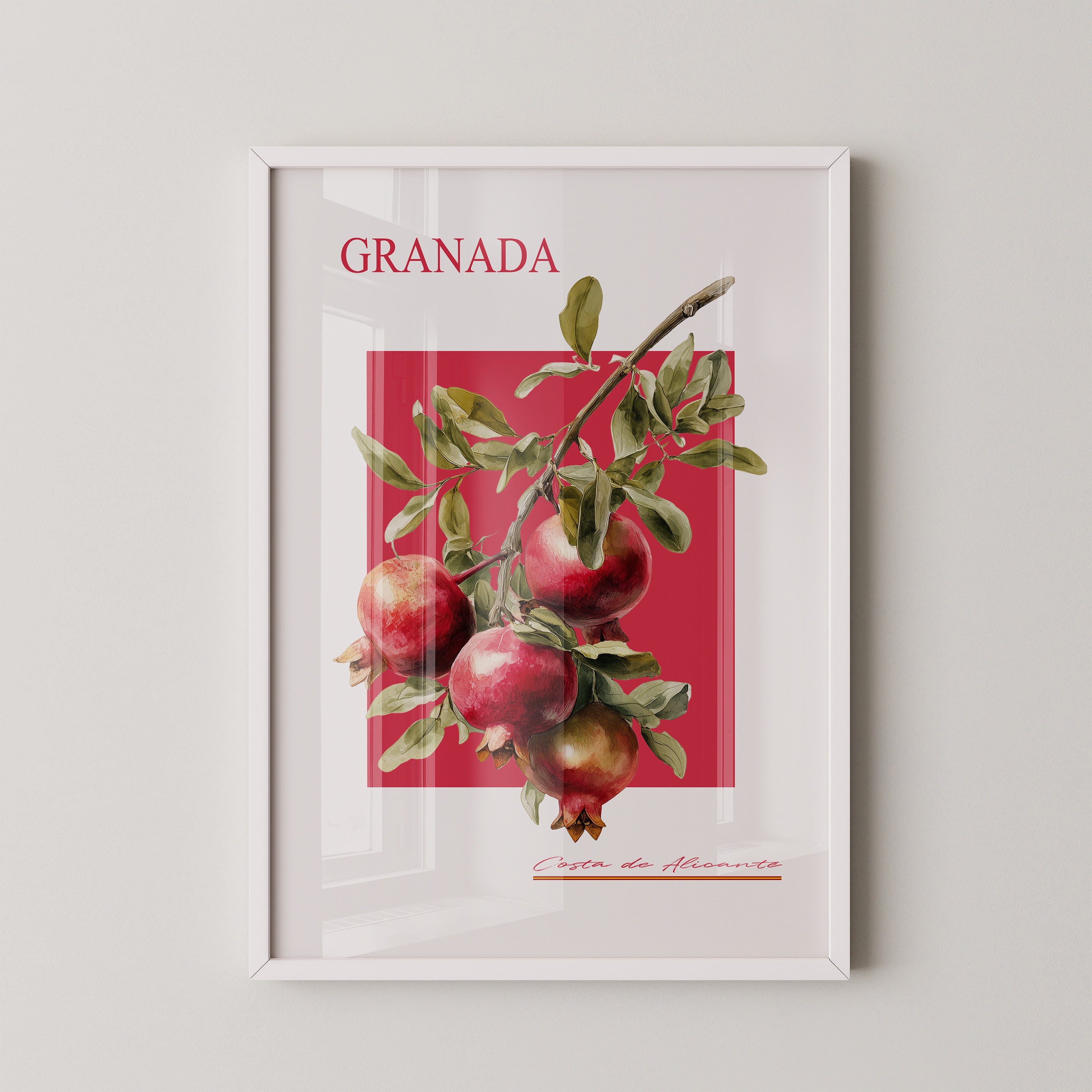 Granatapfel Zweig Rot Hintergrund