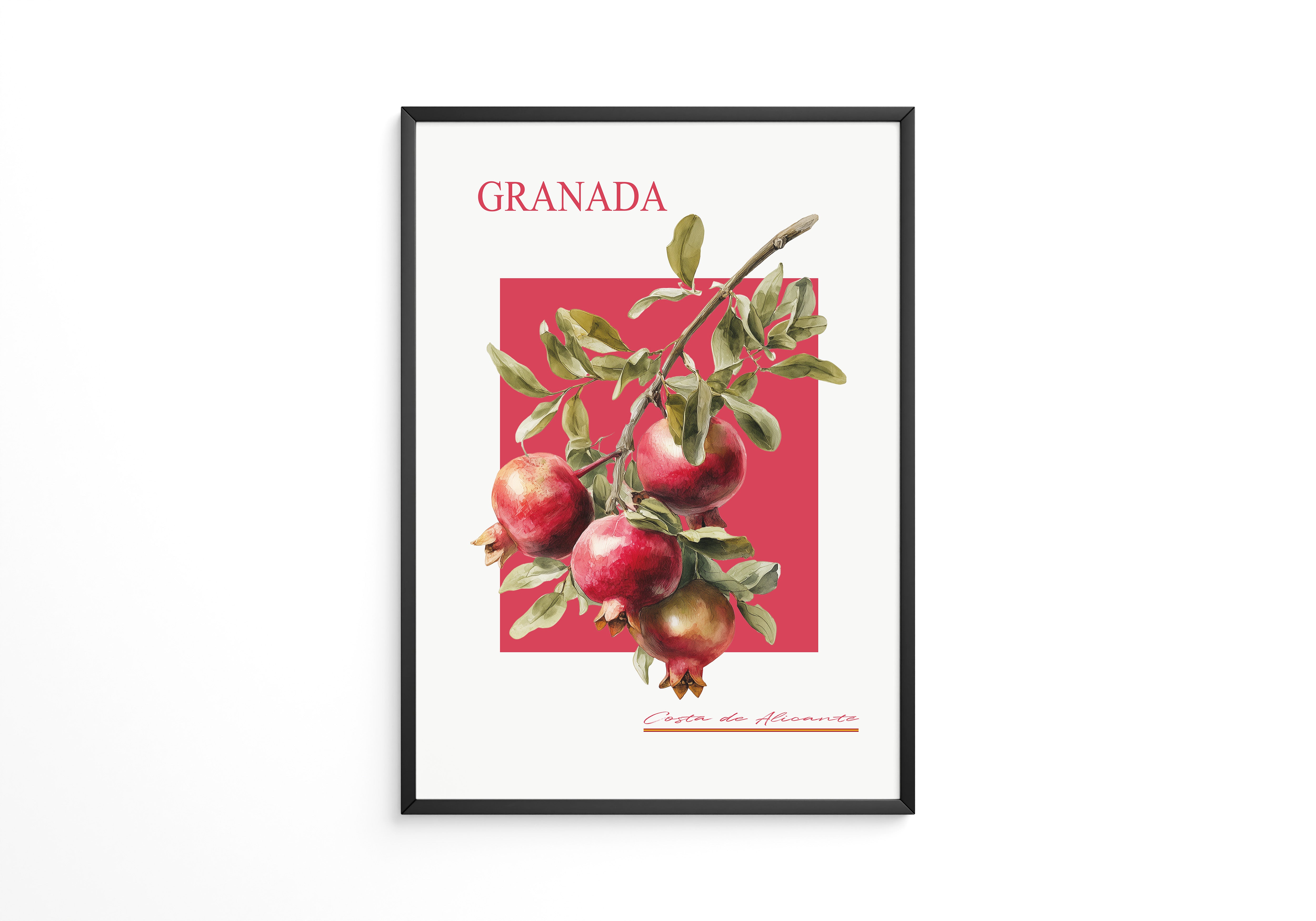 Granatapfel Zweig Rot Hintergrund