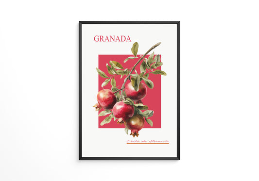 Granatapfel Zweig Rot Hintergrund