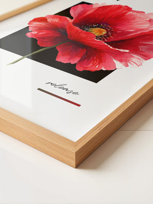 Rote Mohnblüte Aquarell Rahmen