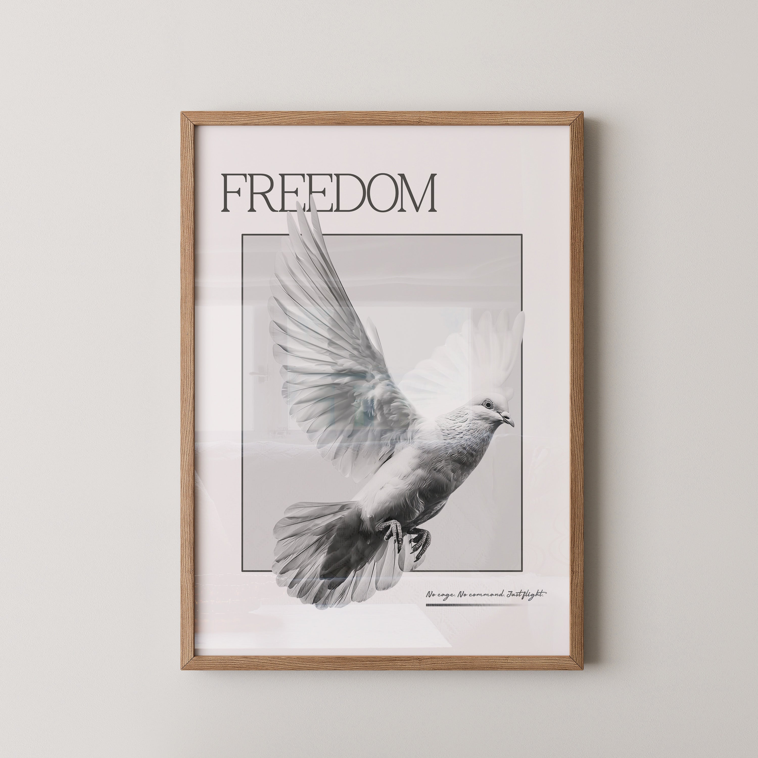 Taube Flügel S/W Dynamik