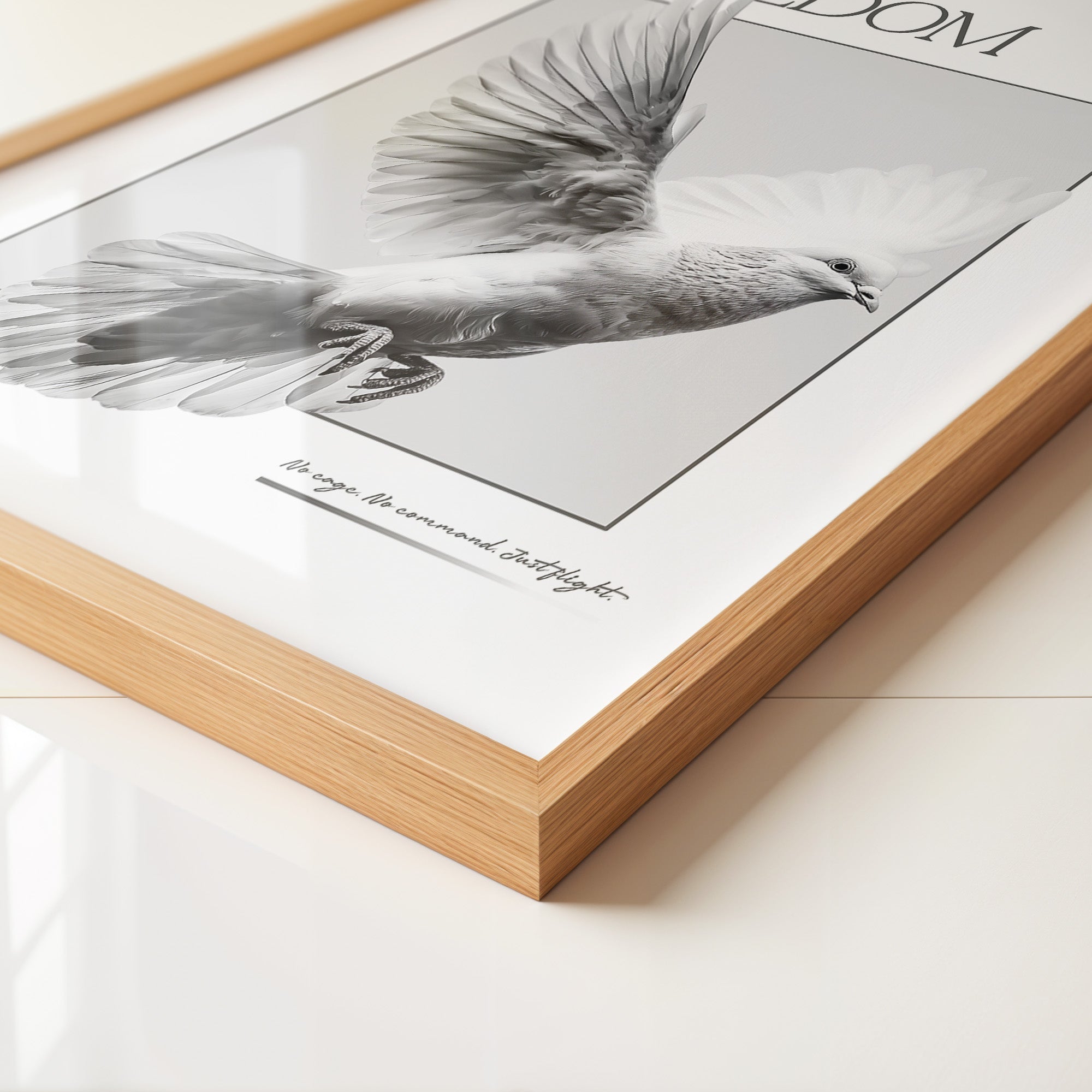 Taube Flügel S/W Dynamik