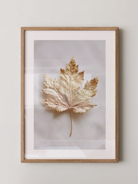 Goldenes Blatt edel
