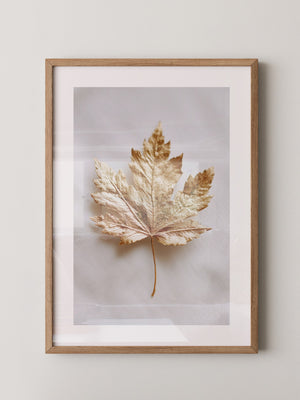Goldenes Blatt edel