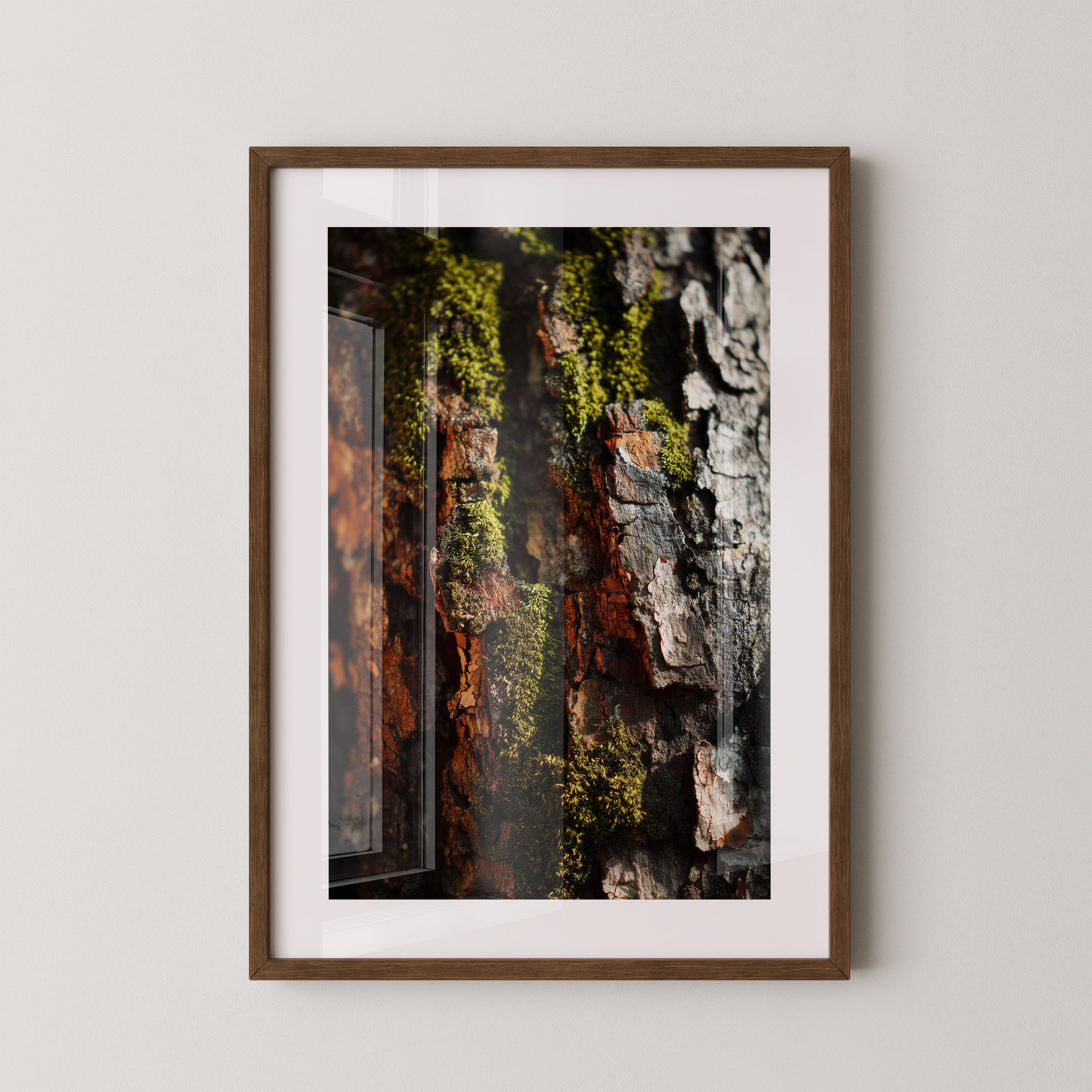 Baumrinde Moos Makroaufnahme