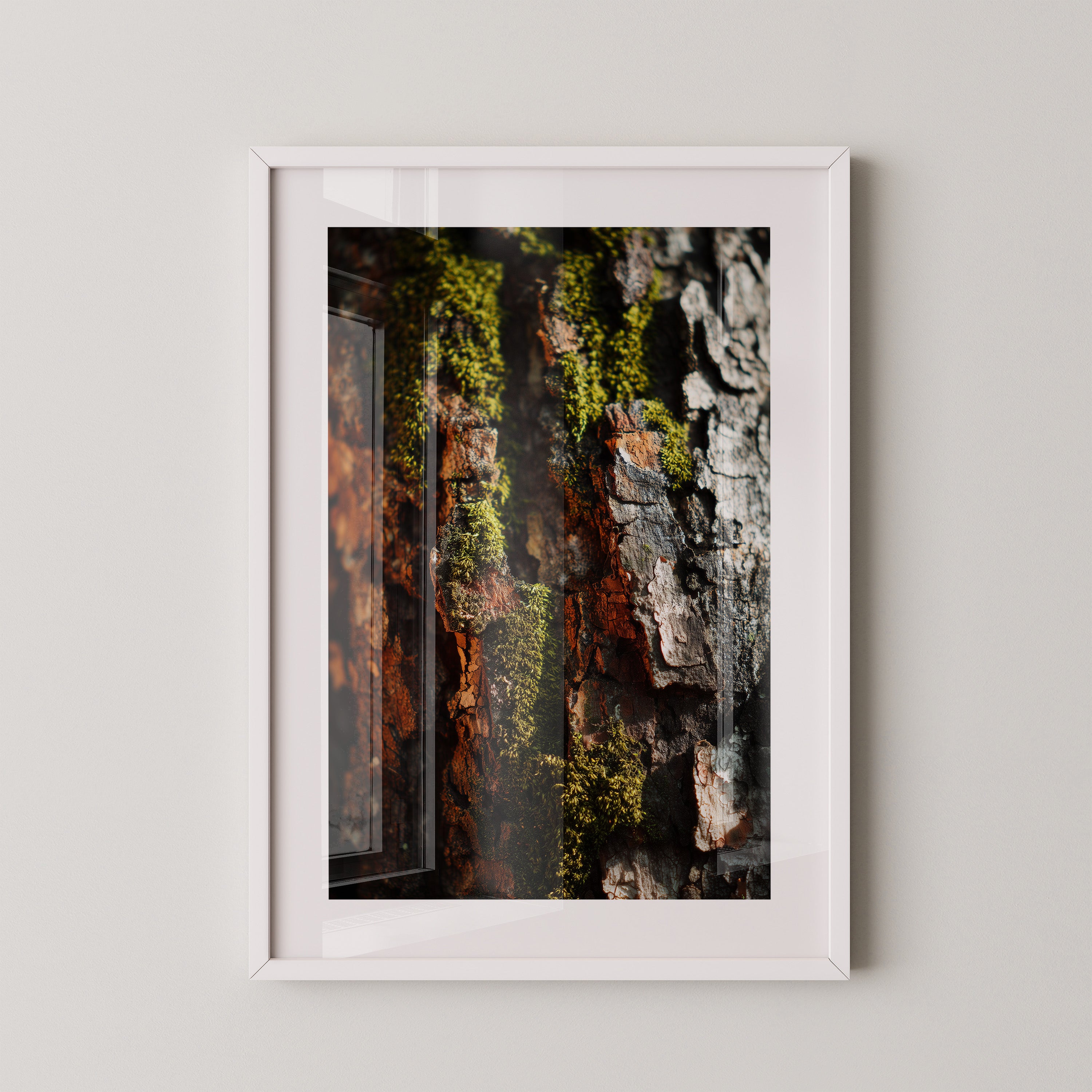 Baumrinde Moos Makroaufnahme