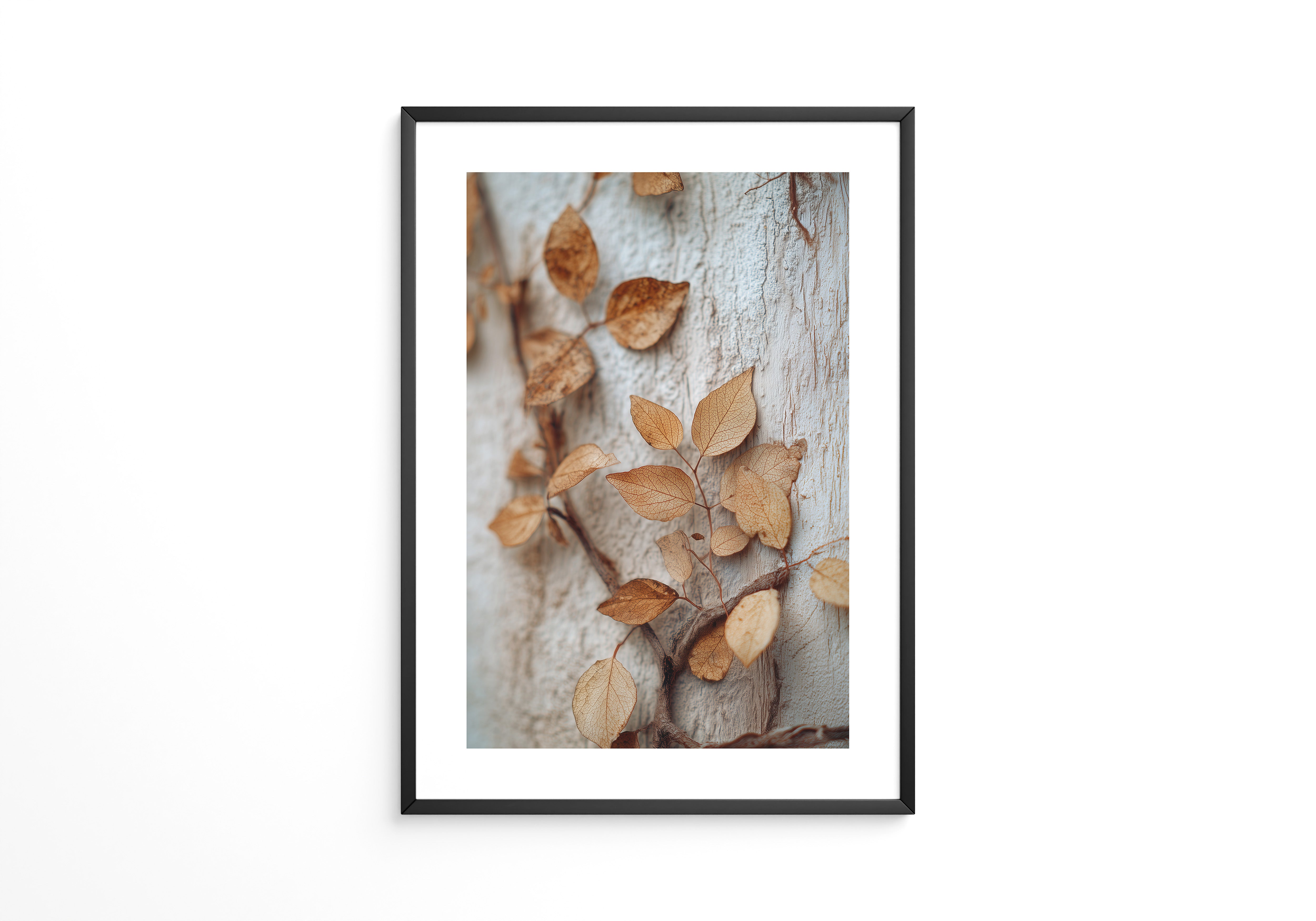 Verwelkte Blätter Nahaufnahme