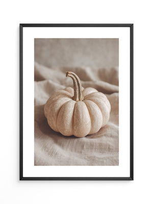 Kürbis Herbst Pastell