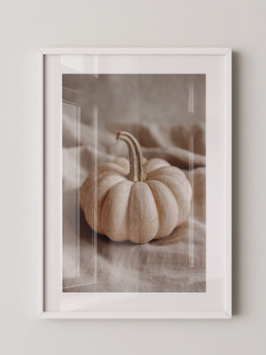 Kürbis Herbst Pastell