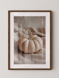 Kürbis Herbst Pastell