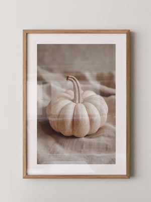 Kürbis Herbst Pastell