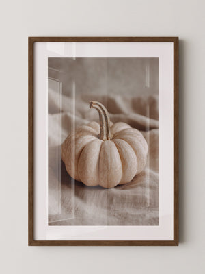Kürbis Herbst Pastell