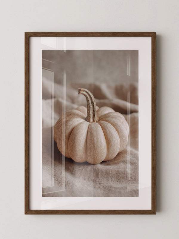 Kürbis Herbst Pastell