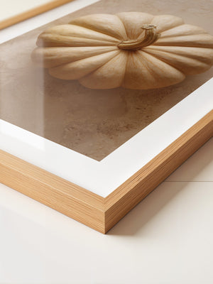 Kürbis beige Draufsicht