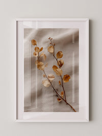 Zweige Beige Struktur