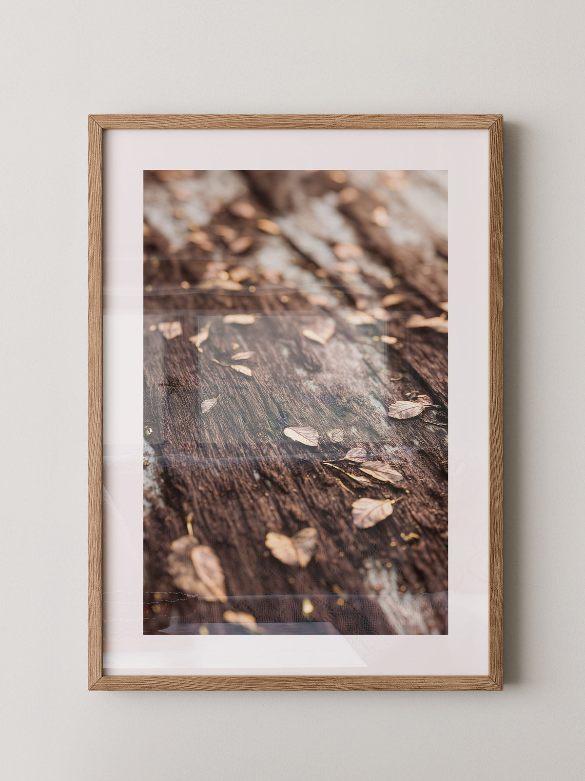 Herbstblätter Holz Nahaufnahme