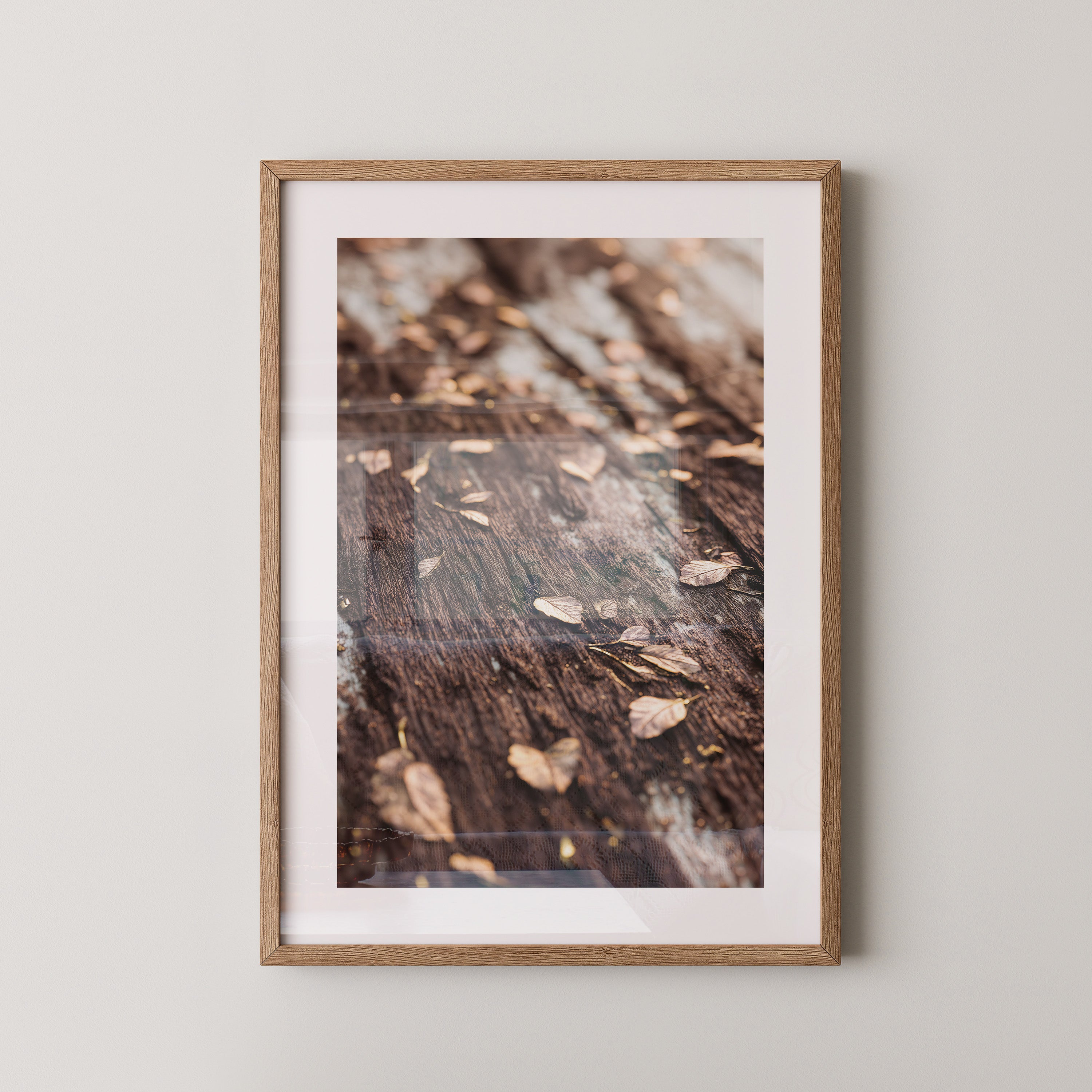 Herbstblätter Holz Nahaufnahme