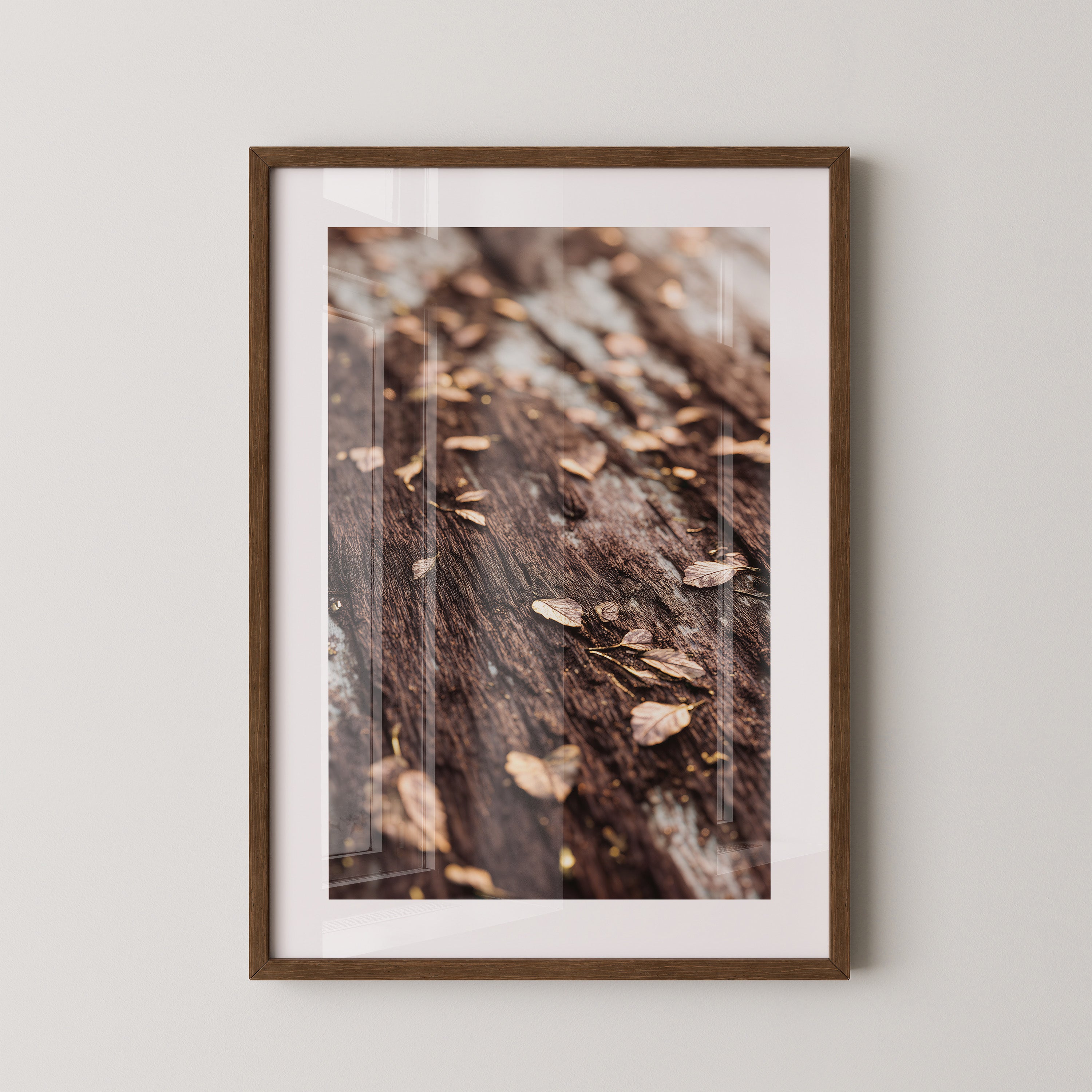 Herbstblätter Holz Nahaufnahme