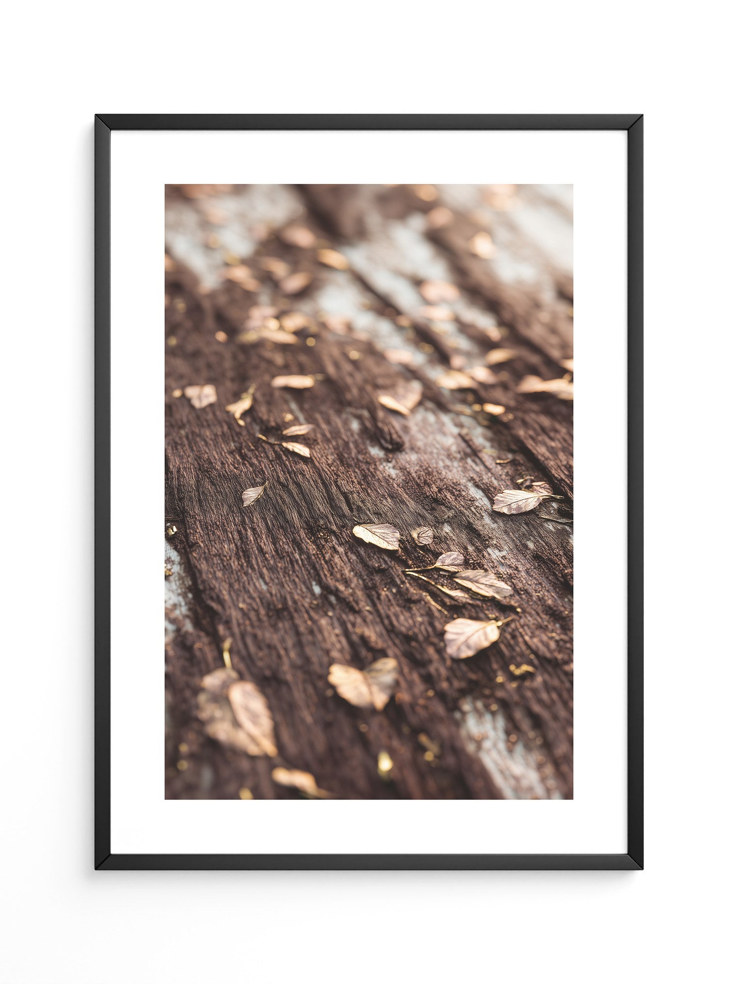 Herbstblätter Holz Nahaufnahme