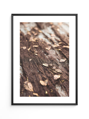 Herbstblätter Holz Nahaufnahme