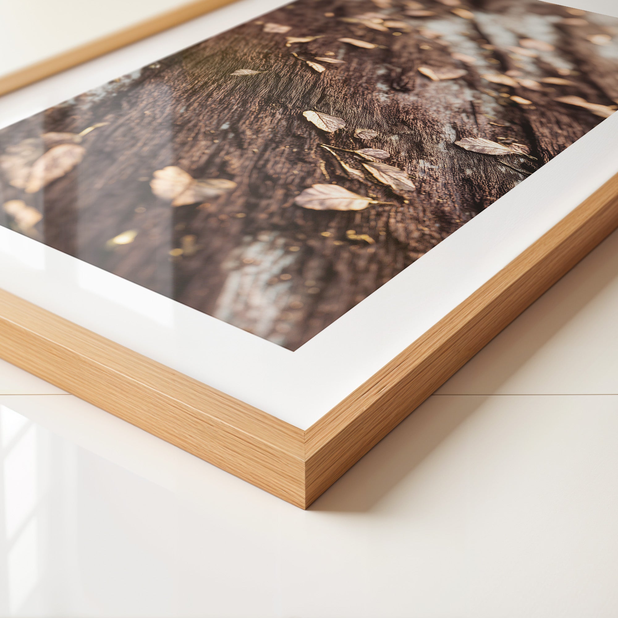 Herbstblätter Holz Nahaufnahme