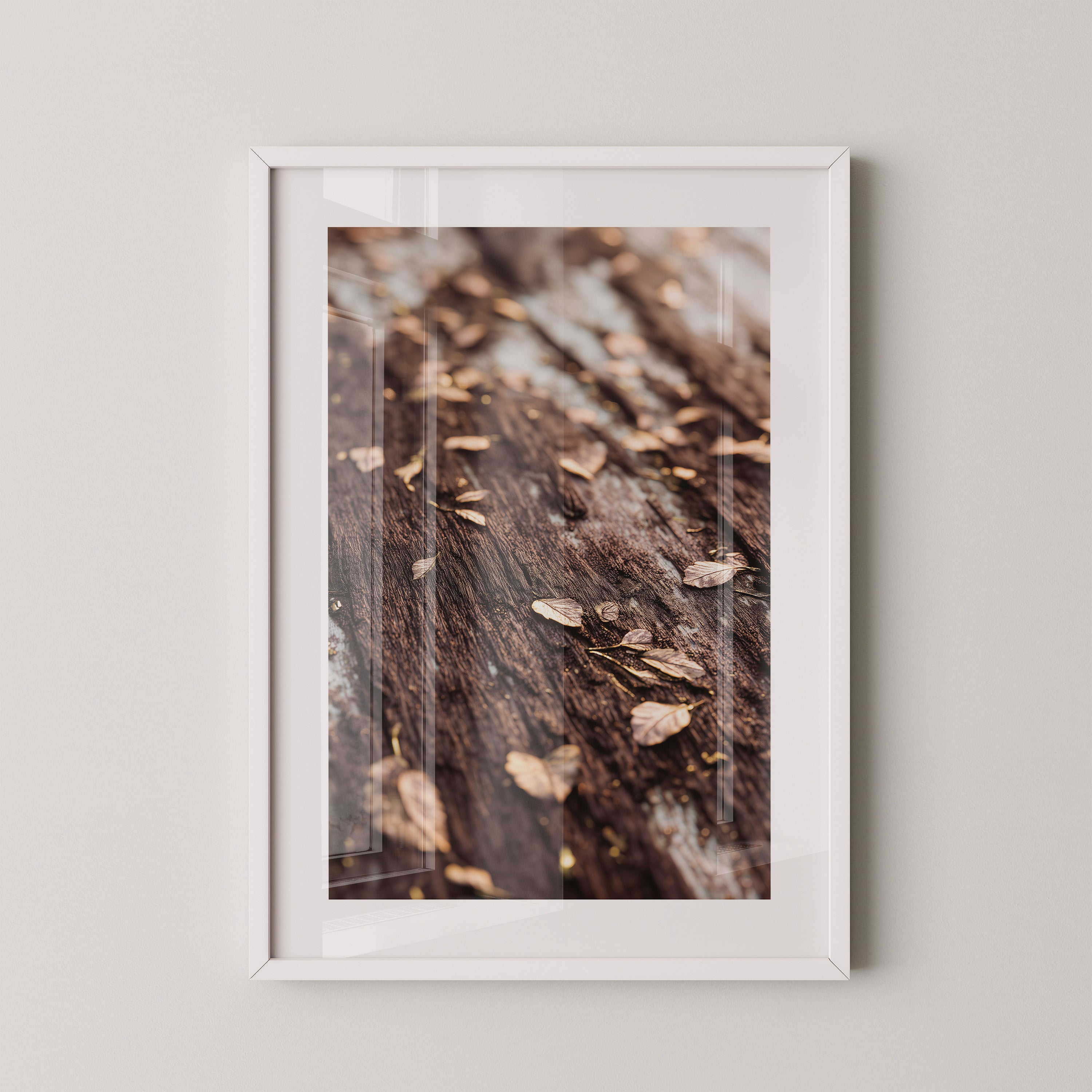 Herbstblätter Holz Nahaufnahme