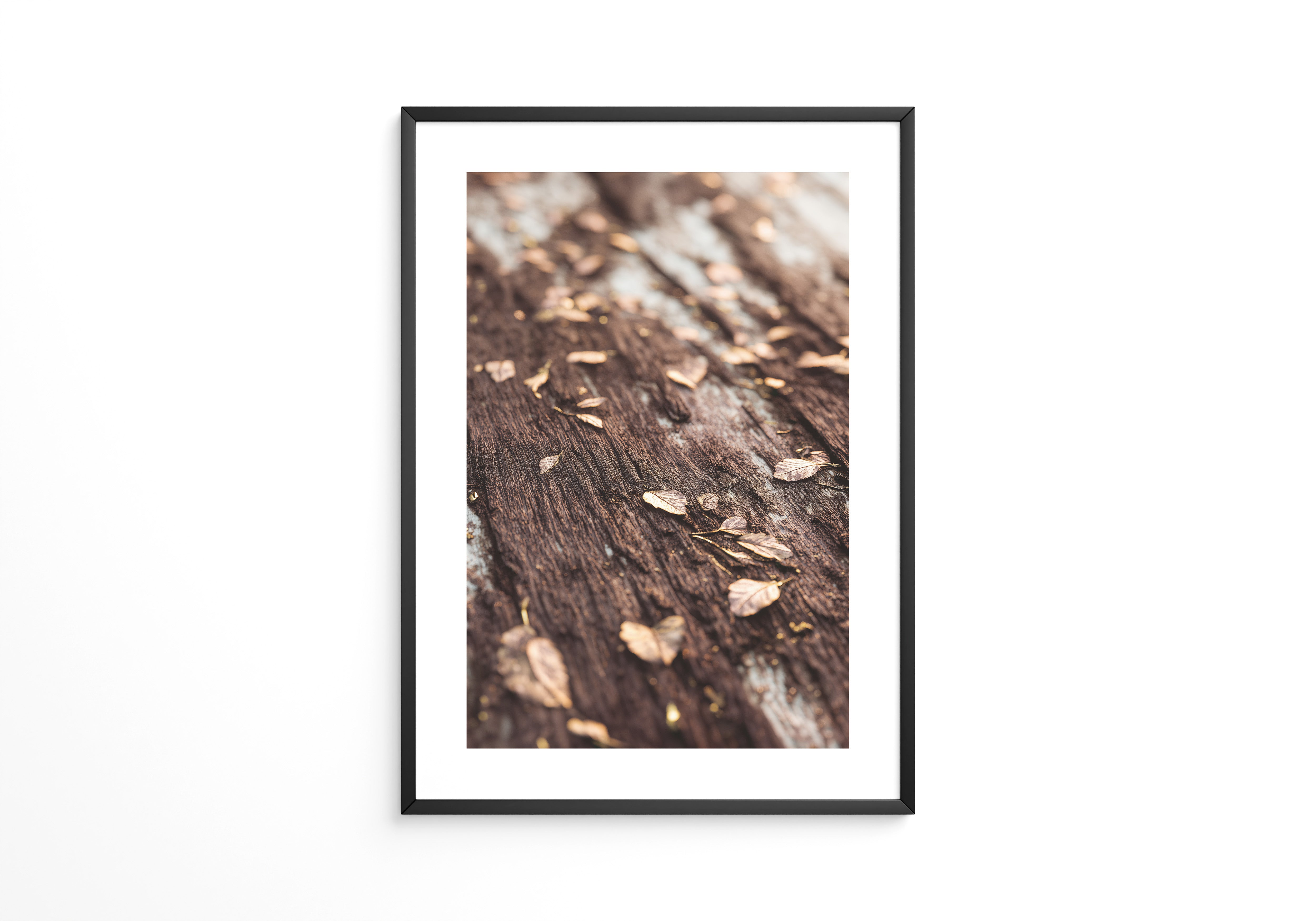 Herbstblätter Holz Nahaufnahme