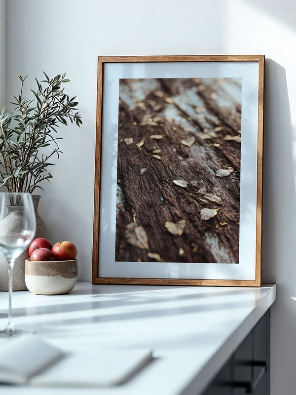 Herbstblätter Holz Nahaufnahme